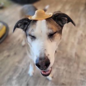 Meet your Posher, Magdalene